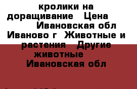 кролики на доращивание › Цена ­ 400-1500 - Ивановская обл., Иваново г. Животные и растения » Другие животные   . Ивановская обл.